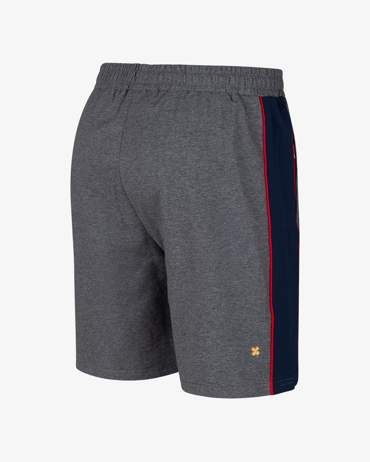 Willem II Presentation Short 23/24, Dark Grey, hi-res