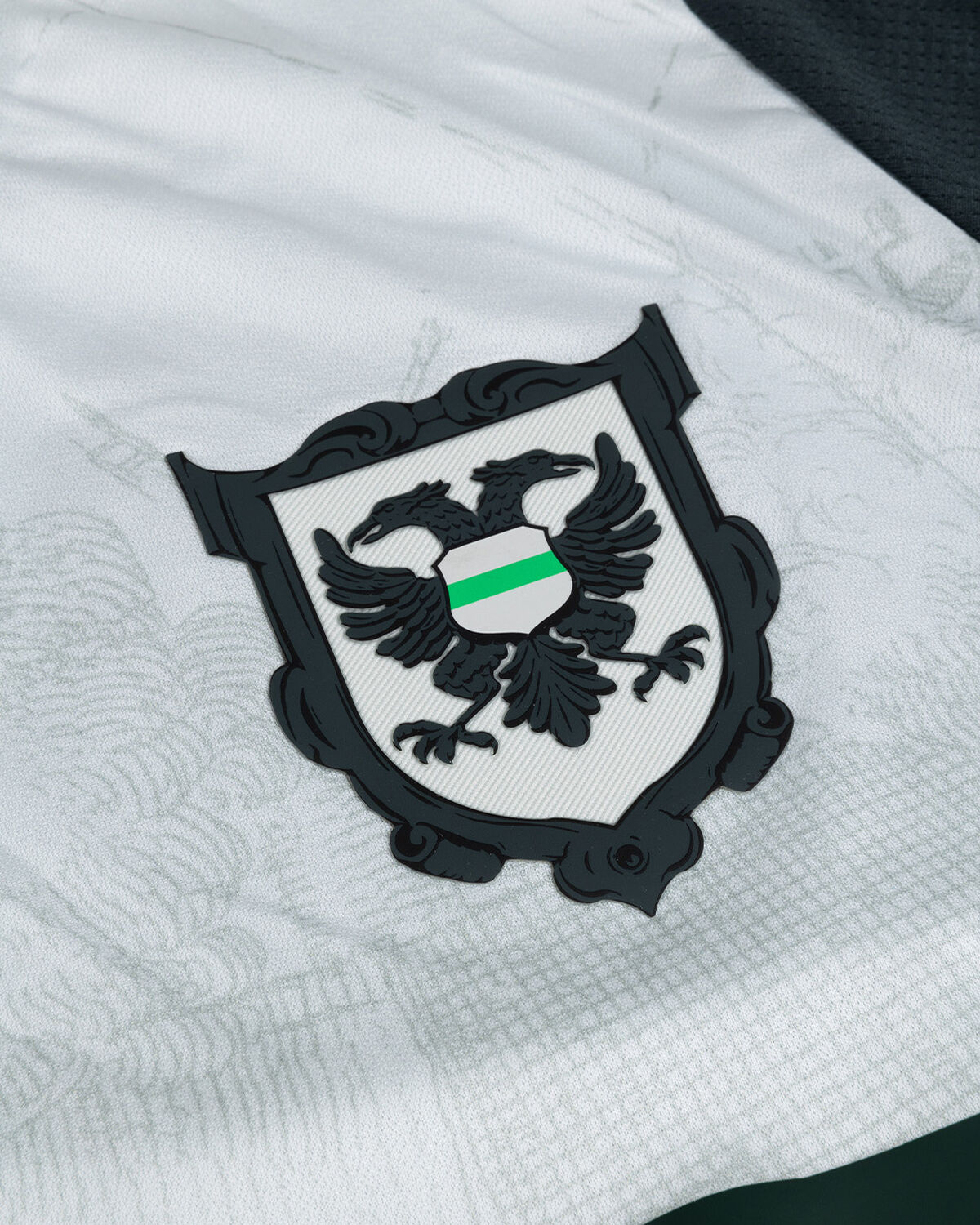 FC Groningen x Gronings Ontzet 050-Shirt 24/25, Grayish Green, hi-res
