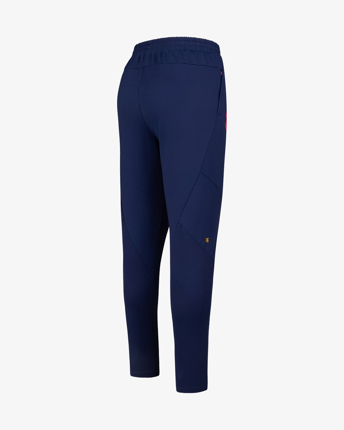 Telstar Playmaker Pants 23/24, Purple, hi-res