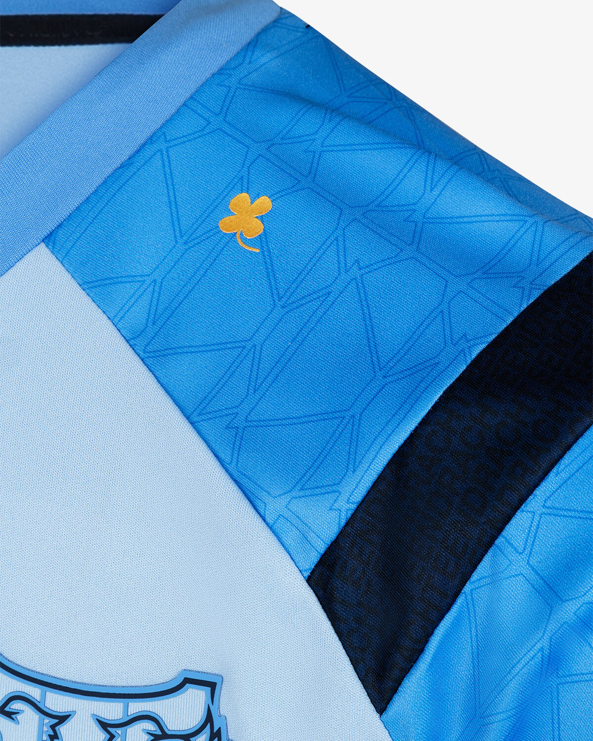 N.E.C. Training Shirt 24/25, Light Blue, hi-res